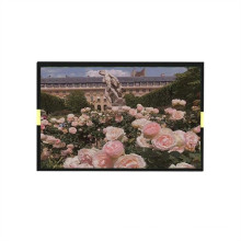 10.1 inch 1200nit Outdoor Touch Lcd Panel